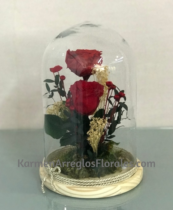 Cúpula de Rosa Preservada - Floristería Karmen Arreglos Florales
